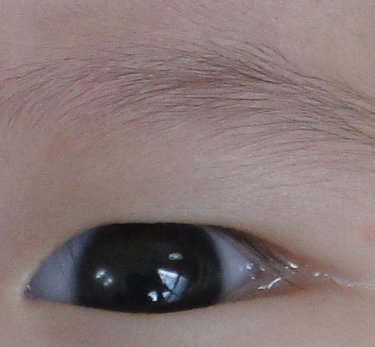 [Sony] 超大觸控螢幕 Sony T900 完全評測