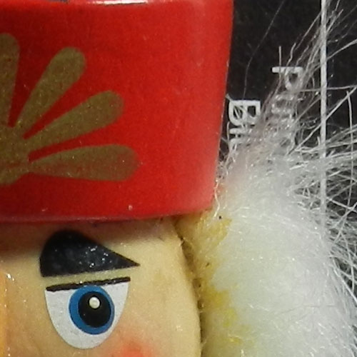 [Nikon] 810mm 超級望遠 Nikon P500 完全評測